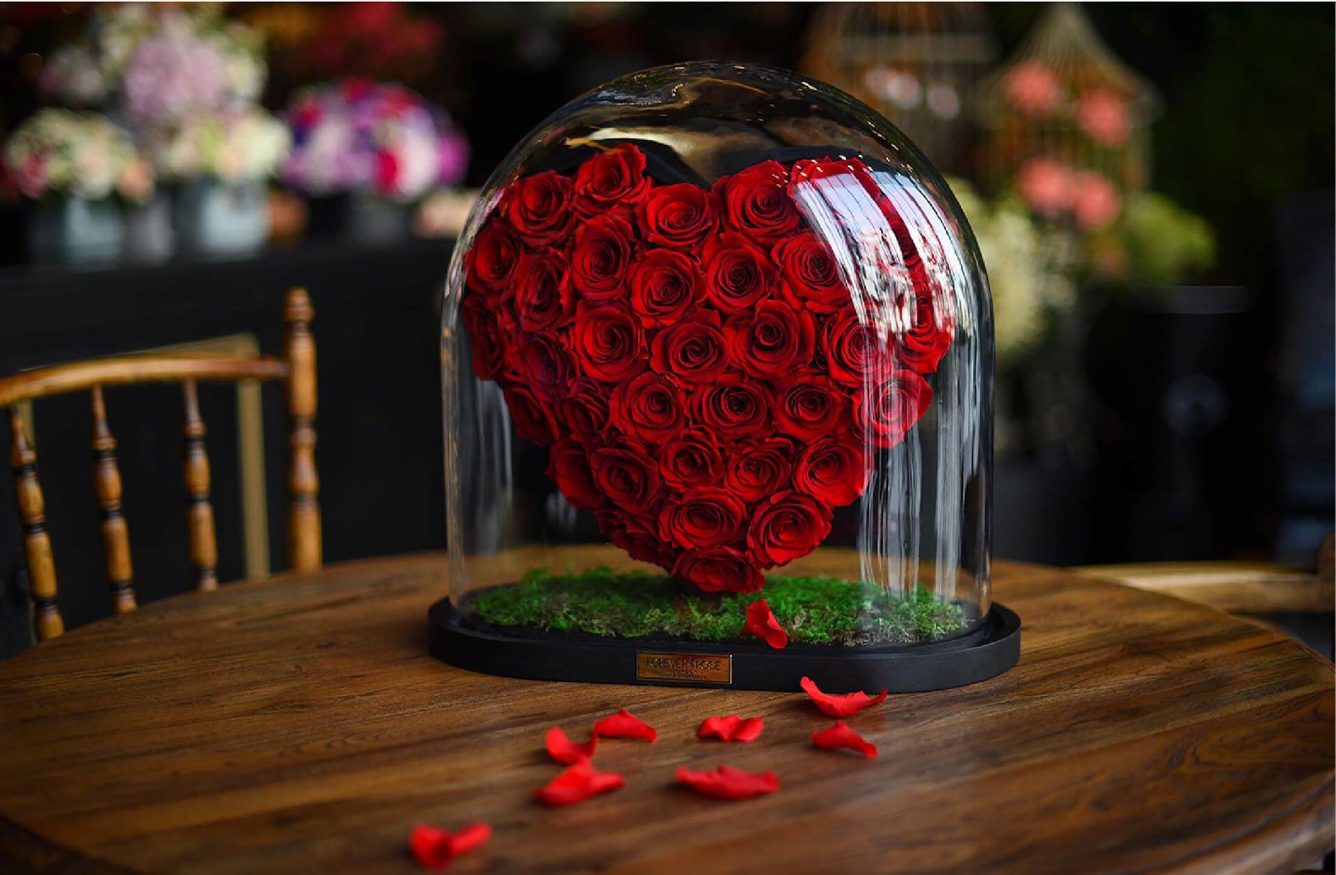 All about roses – MyForeverRose