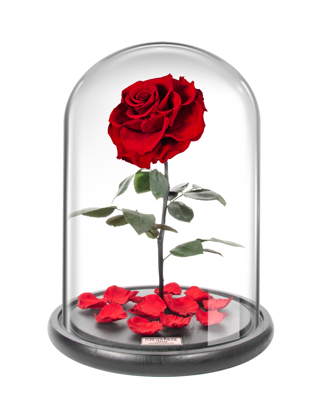 MyForeverRose