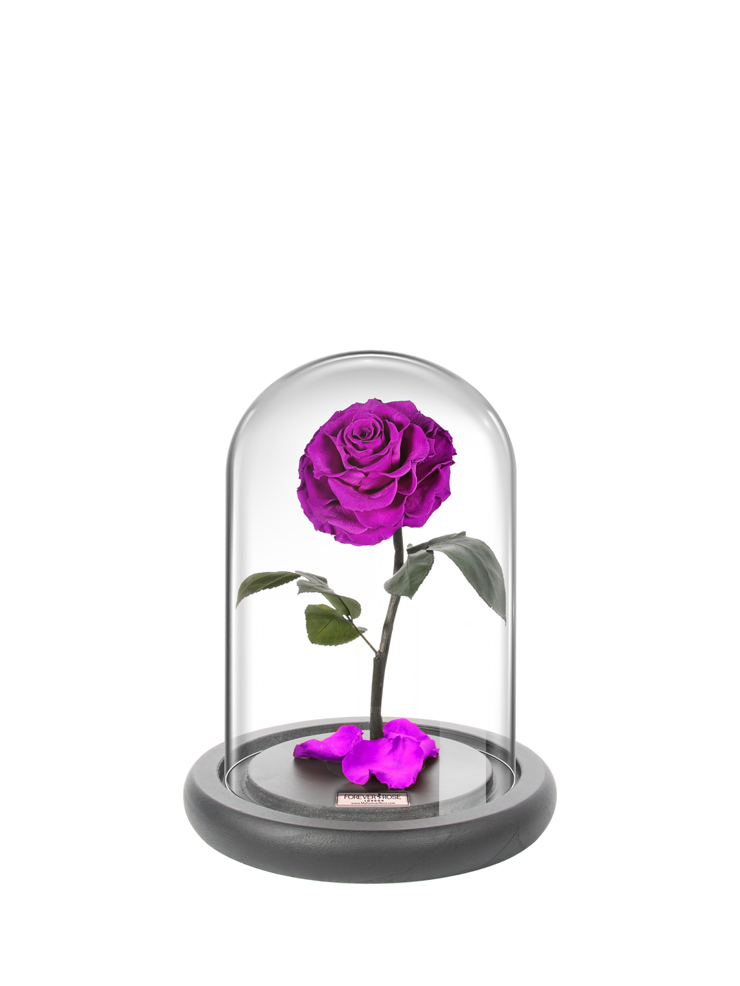 MyForeverRose