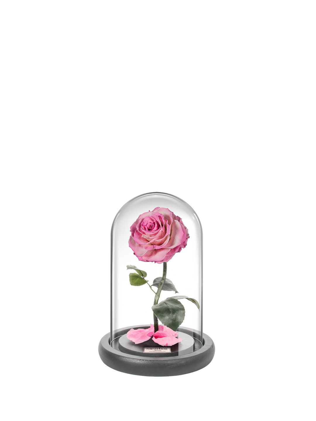 MyForeverRose