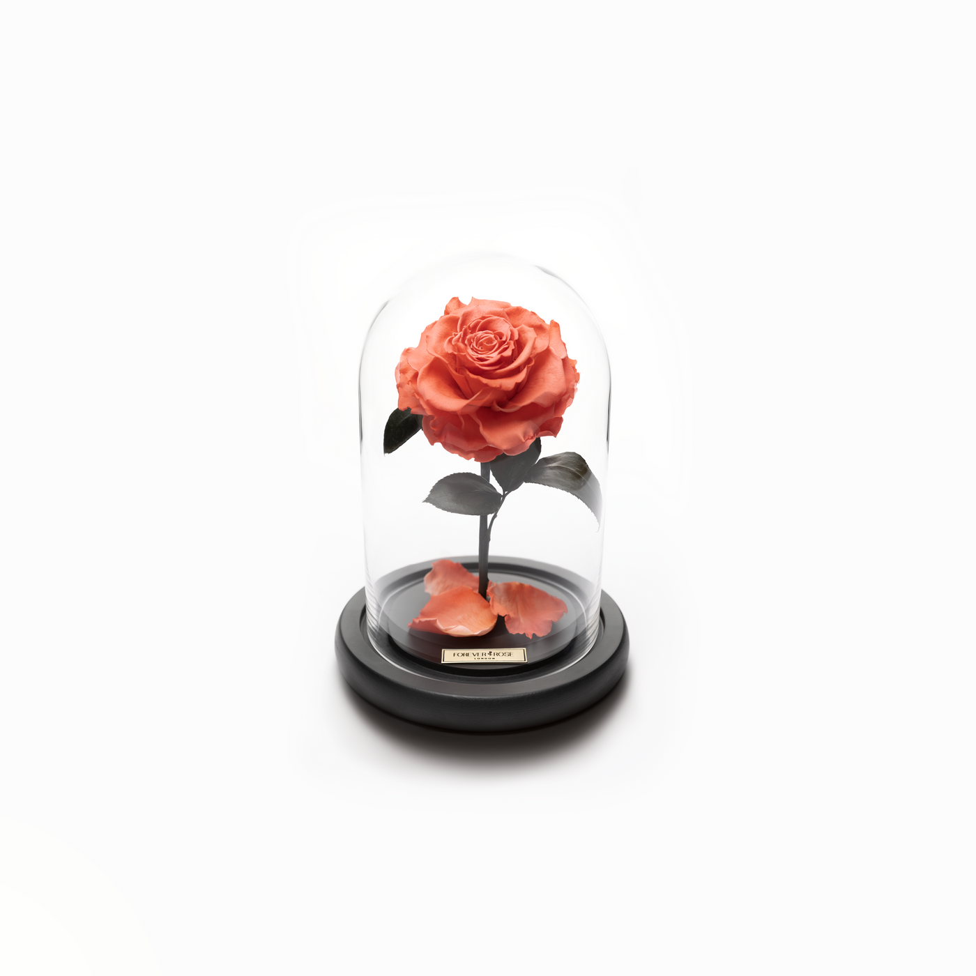 Bella Mini