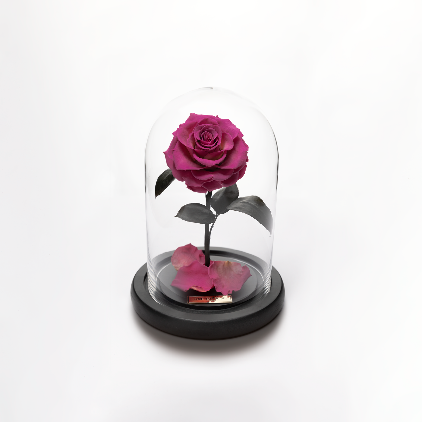 Bella Mini